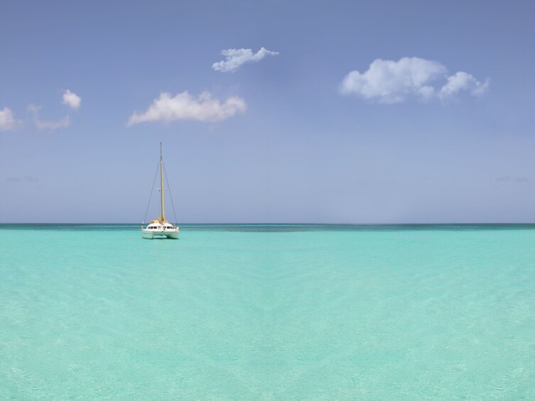 Saona Island Speedboat & Catamaran with Natural Pool Swim