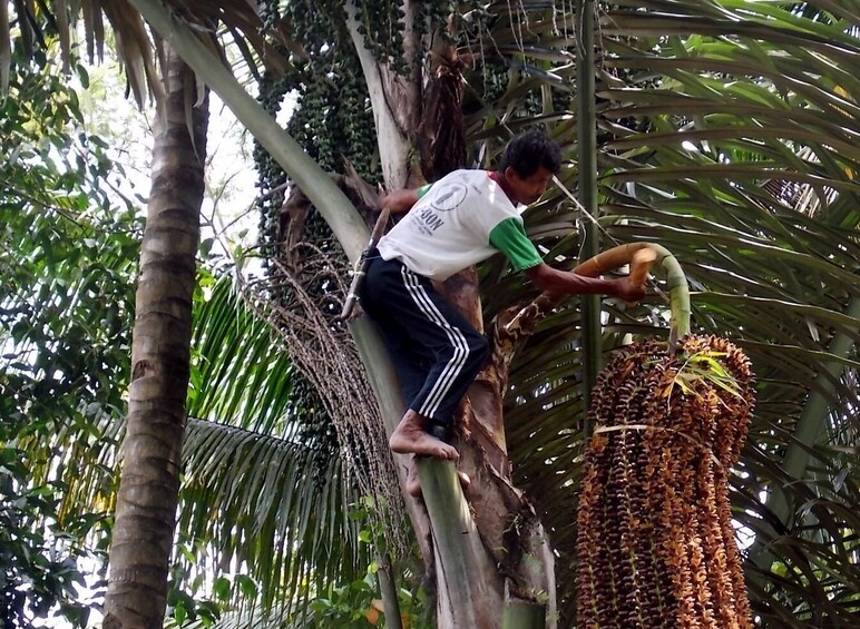 Private Full-Day Shwe Hlaing Village Tour