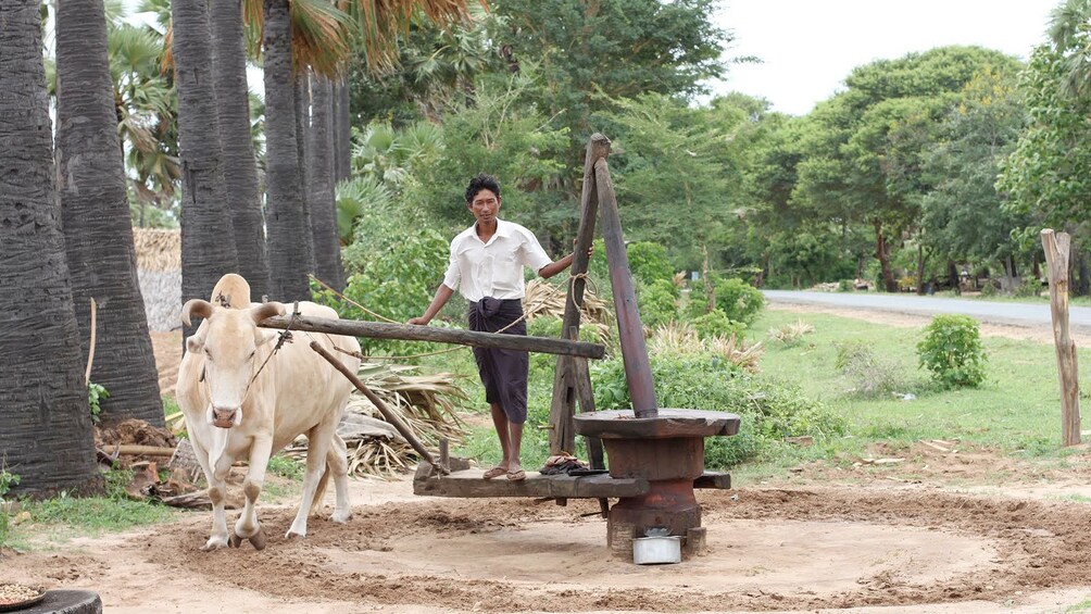 Local man in Bagan 