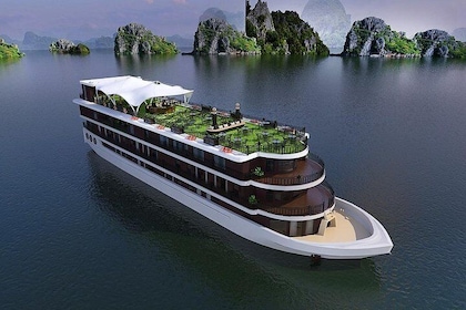 Halong Bay Luxury Cruise 2D/1N: Kayaking, Swimming, Surprise Cave, Titop is...