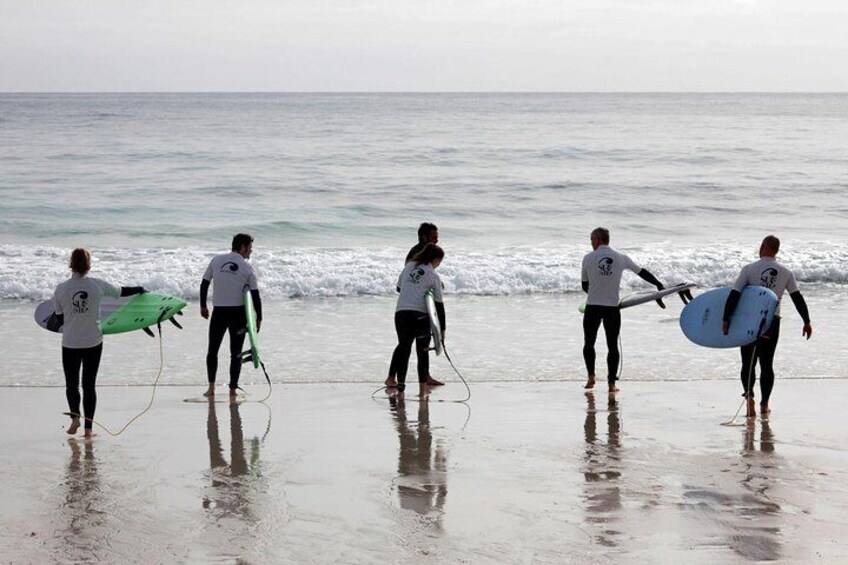 Surf Beginner Course