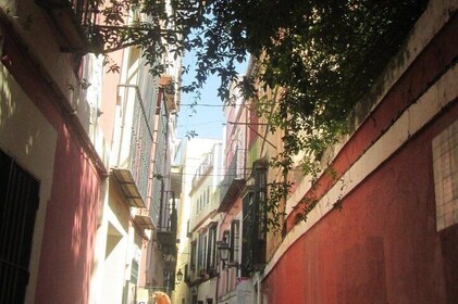 Privérondleiding Kathedraal + Alcazar + Santa Cruz