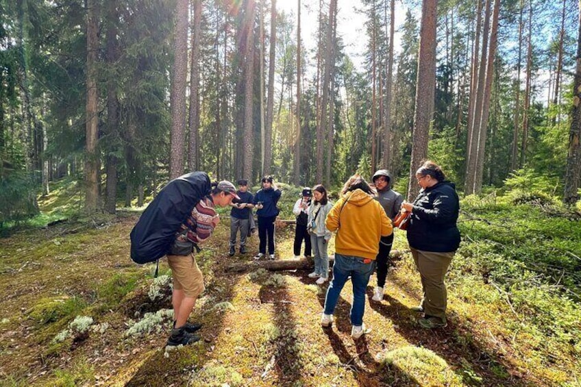 Mushroom Hunting in a National Park