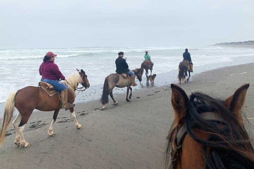 Ritoque Riding and Birdwatching