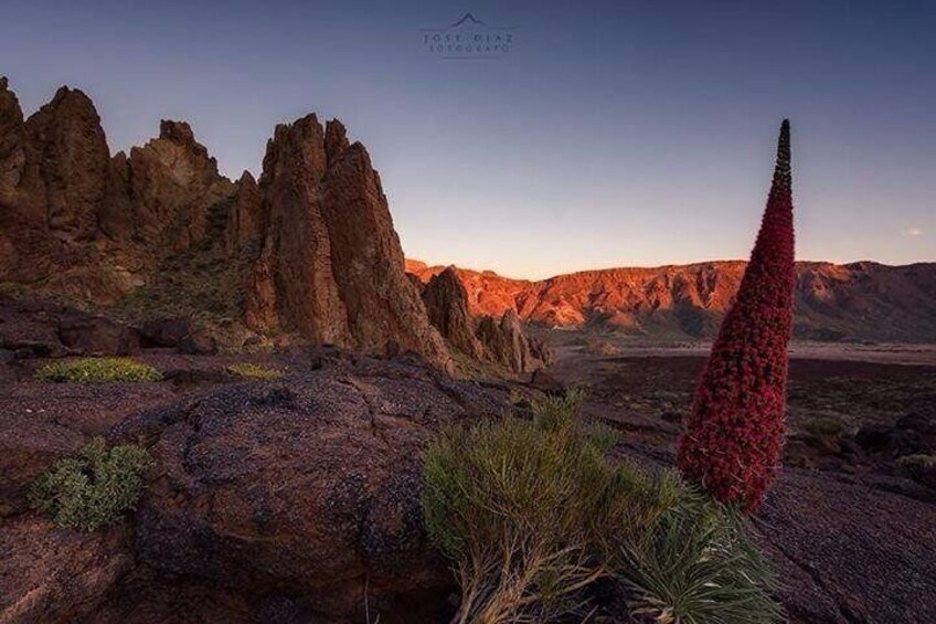 TEIDE NATIONAL PARK