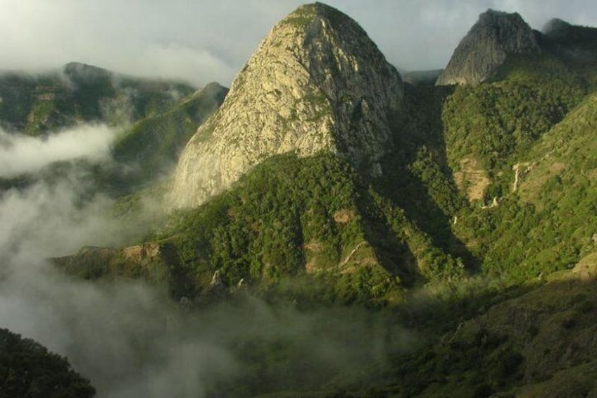 Garajonay National Park