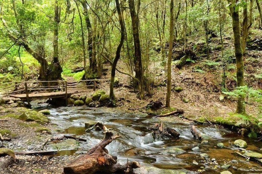 Garajonay National Park