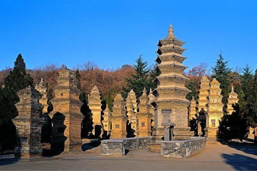 Pagoda Forest 