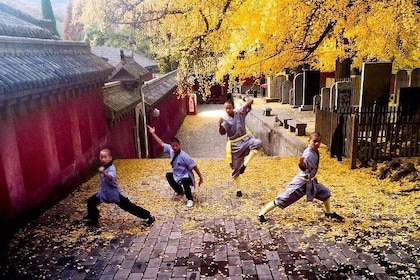 2-Day Private Tour from Chengdu with Hotel: Shaolin Temple and Longmen Grot...