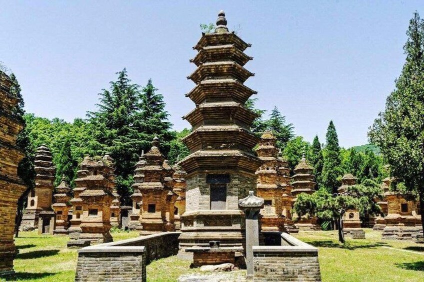 Pagoda Forest 