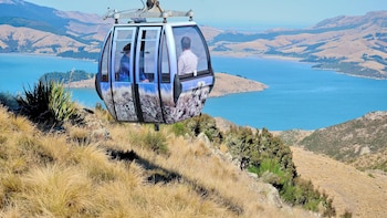 Port Hills Gondola Ride Ticket