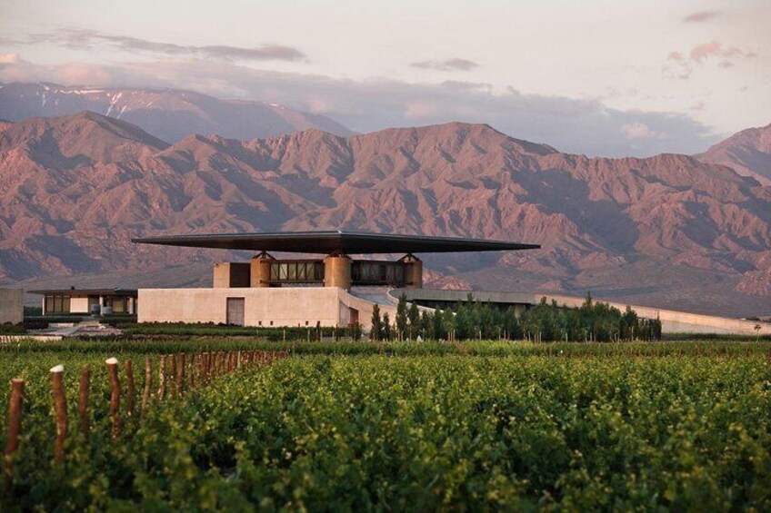 Private Wine Tour Uco Valley
