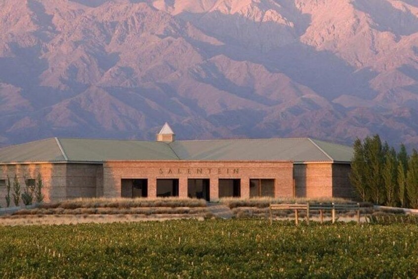 Private Wine Tour Uco Valley