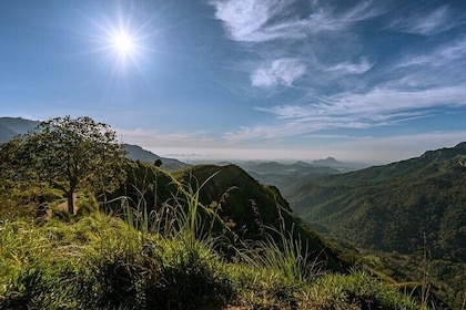 Discover Ella - Ella Rock, Little Adam's Peak & Nine Arch Bridge