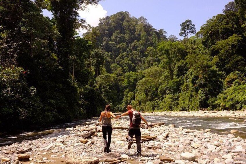 Monkey Business 3 days - 2 nights Jungle trekking (including rafting)