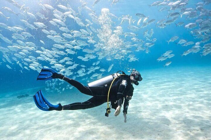 Scuba Diving 2 Stops Full Day Boat Trip For Beginners With Lunch – Hurghada
