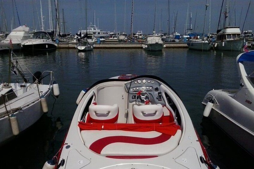 Private City Tour Liubliana from Portoroz