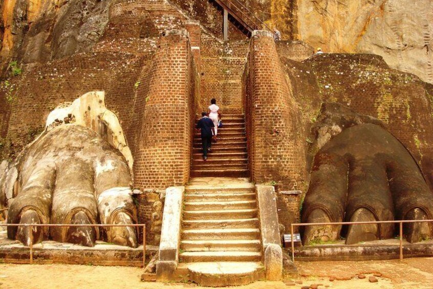 Sigiriya and Habarana Jungle Safari Day Tour from Colombo