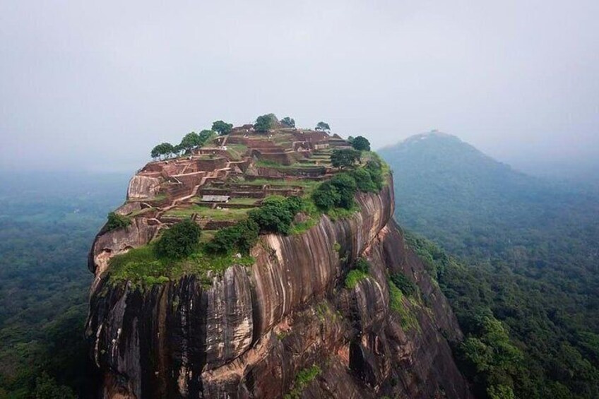 Sigiriya and Habarana Jungle Safari Day Tour from Colombo