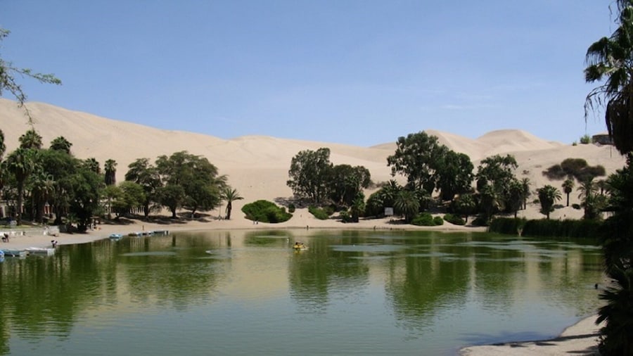 Dune Buggy and Sandboard in Huacachina Ica
