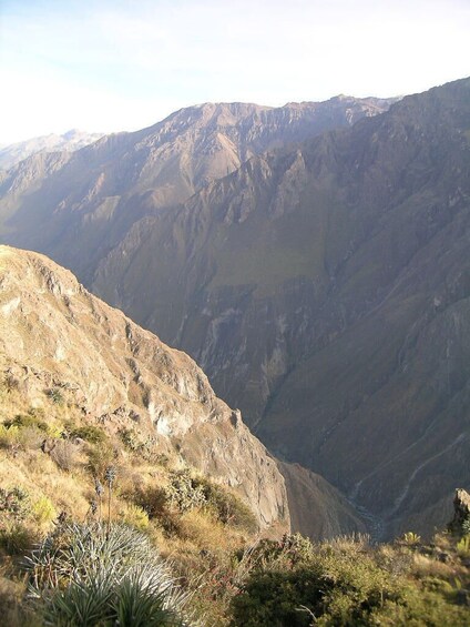 2-Day Colca Canyon Trek in Arequipa