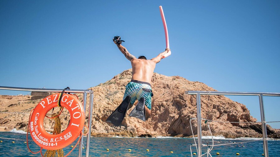 Snorkeling Tour in Los Cabos