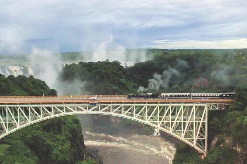 Royal Livingstone Steam Express