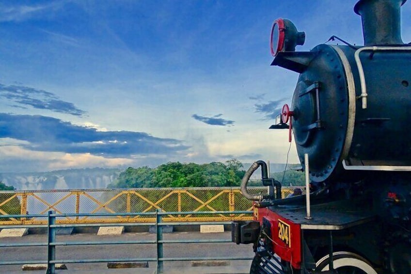 Royal Livingstone Steam Express
