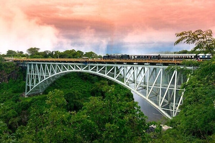 Royal Livingstone Steam Express