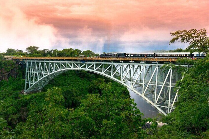 Royal Livingstone Steam Express