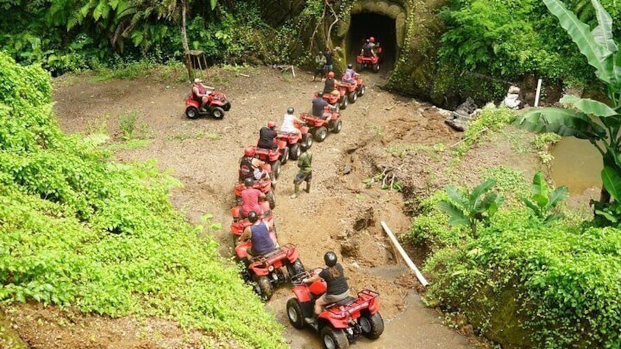 across cave with gorilla face relief