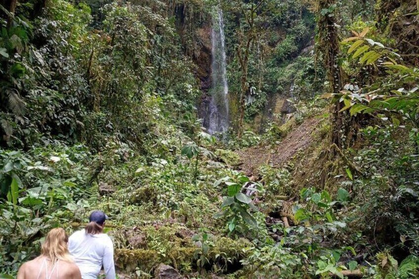 Full Day Bucay With Nueva esperanza Waterfall Visit from Guayaquil