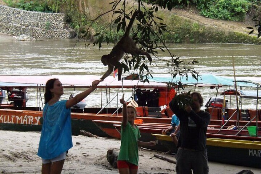 3 Days Amazon Tena From Quito