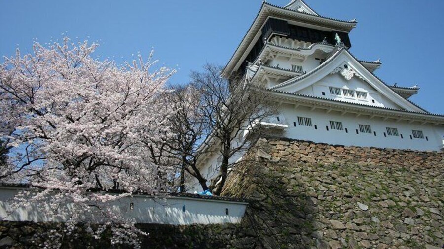Kitakyushu Half-Day Private Trip with Government-Licensed Guide