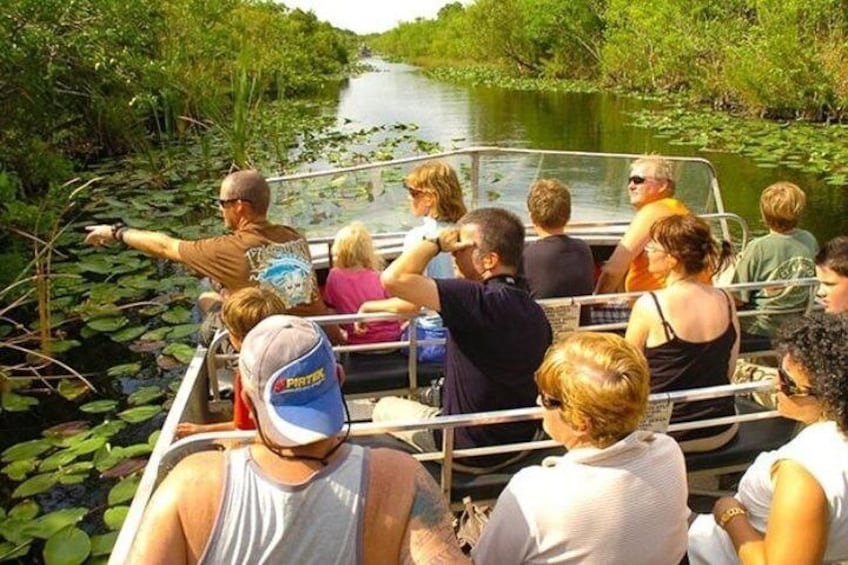 Everglades Tour in Miami