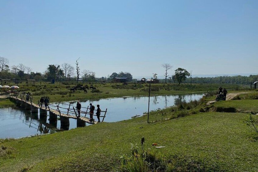 Nature Walk in Chitwan National Park
