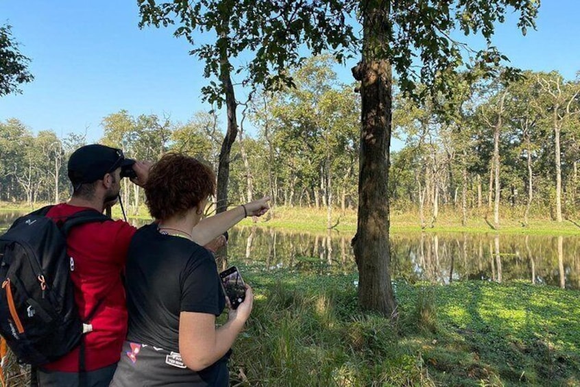 Nature Walk in Chitwan National Park