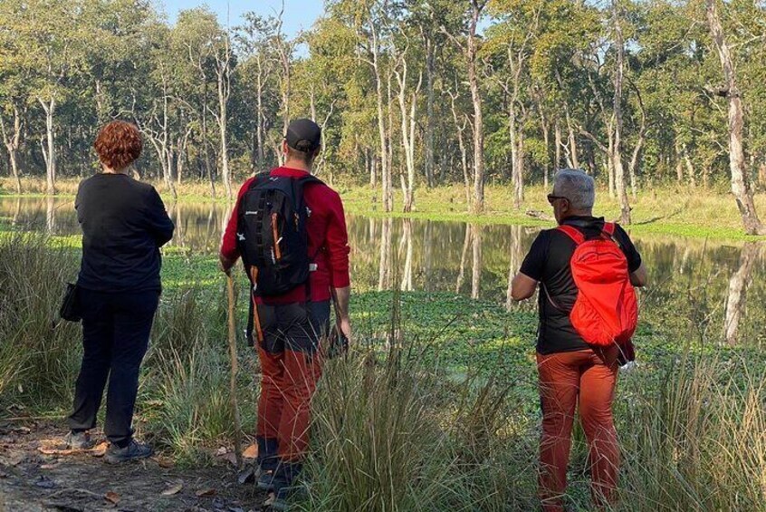 Nature Walk in Chitwan National Park