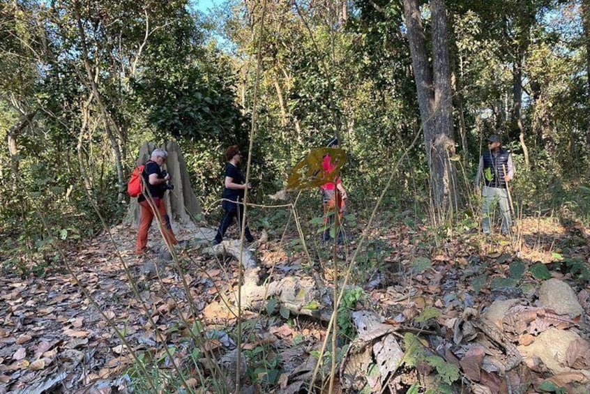 Nature Walk in Chitwan National Park