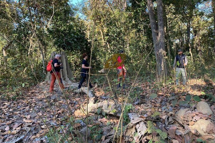 Nature Walk in Chitwan National Park