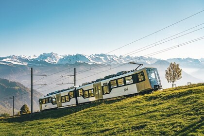 Mount Rigi & Boat Cruise from Lucerne