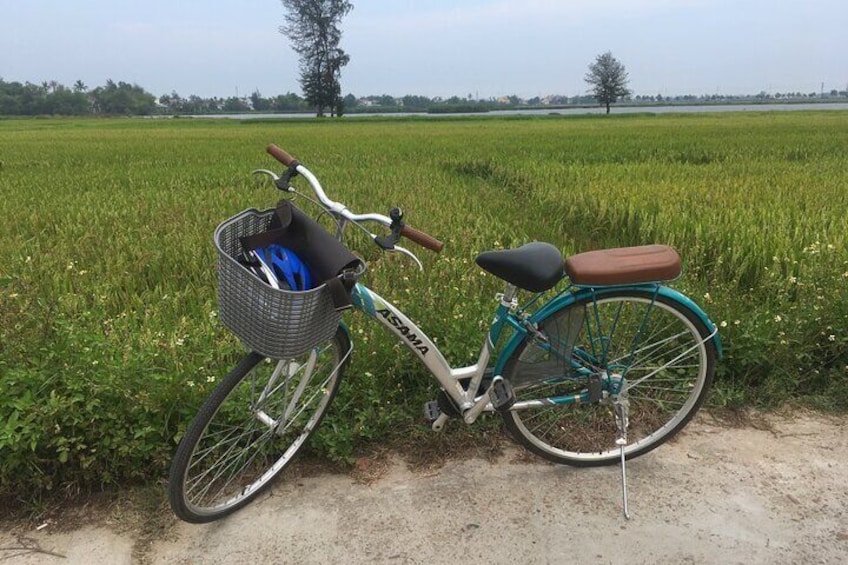 Hoi An countryside biking tour and water buffalo riding experience (4 hour)