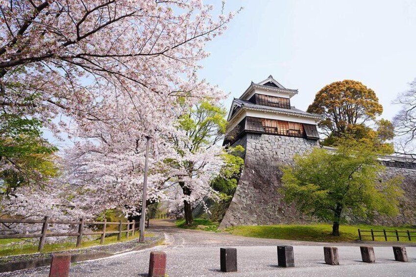 Kumamoto Custom Half Day Tour