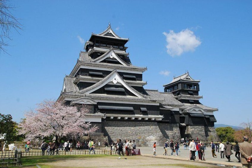 Kumamoto Custom Half Day Tour
