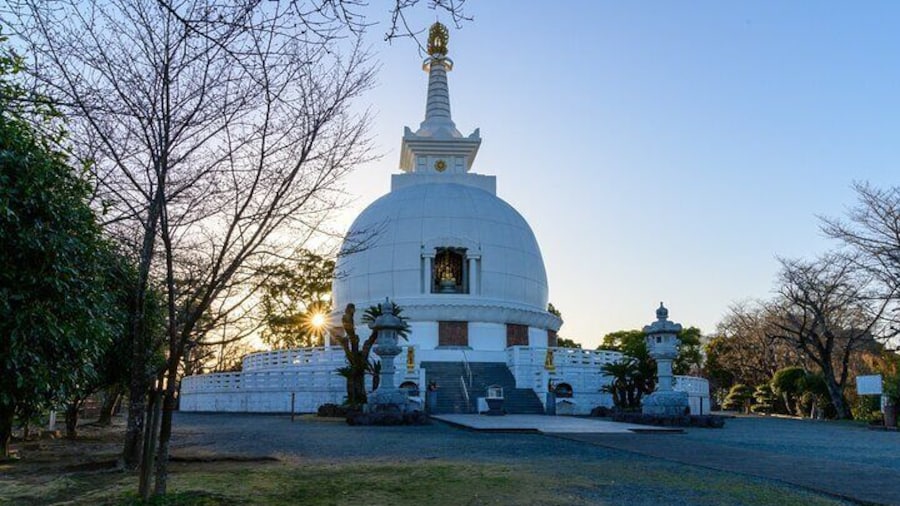 Kumamoto Custom Half Day Tour