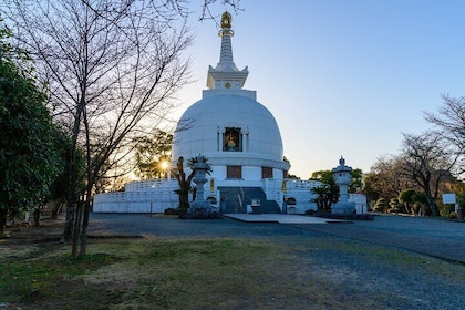 Kumamoto Private Customizable Half Day Tour