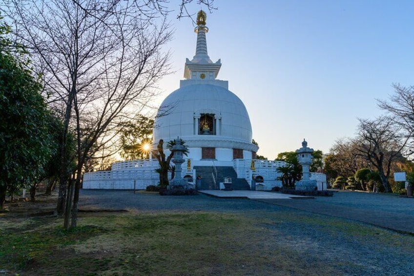 Kumamoto Custom Half Day Tour