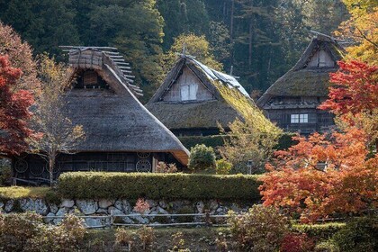 高山風俗一日遊