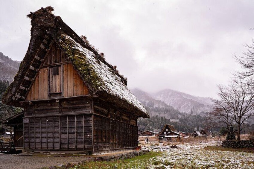 Takayama Custom Full Day Tour