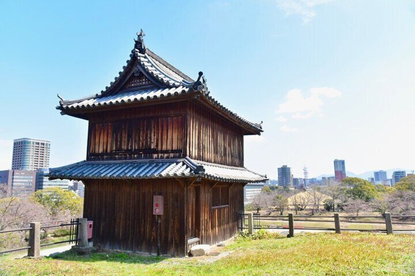 Fukuoka Custom Full Day Tour